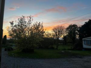 a sunset view of a yard with a tree at Small home in Llanfairpwll in Llanfairpwllgwyngyll
