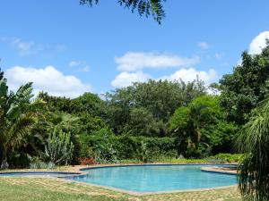 a swimming pool in a garden with trees at Ancha's Oasis in Maputo