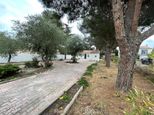 un camino de ladrillo con árboles y una casa en el fondo en Maison plain pied au calme sur parcelle arborée, en Argelès-sur-Mer
