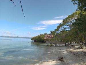 un banc sur une plage au bord de l'eau dans l'établissement West Mansuar Homestay, à Pulau Mansuar