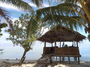 une cabane sur la plage avec un palmier dans l'établissement West Mansuar Homestay, à Pulau Mansuar