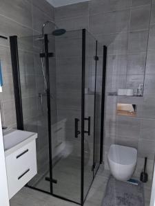 y baño con ducha, aseo y lavamanos. en Apartament 3A Świętoszewo 12 