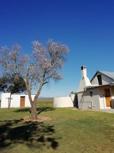a tree in front of a house with a lighthouse at Karsrivier Cottage in Bredasdorp