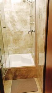 um chuveiro com uma porta de vidro e uma banheira em Magnolia rooms em Toruń