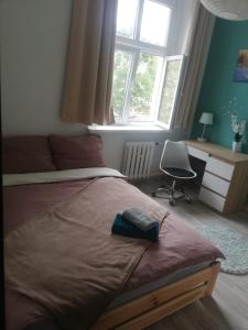 - une chambre avec un lit, un bureau et une chaise dans l'établissement Magnolia rooms, à Toruń