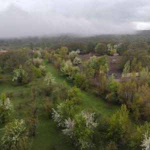 Příroda nedaleko apartmánu