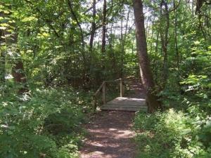 un puente de madera en medio de un bosque en Ferienhaus im Vogelsberg, idyllische Waldsiedlung am See, en Mücke