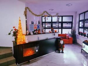 a living room with a fireplace and a christmas tree at Casa Verde Poiana Brasov in Poiana Brasov