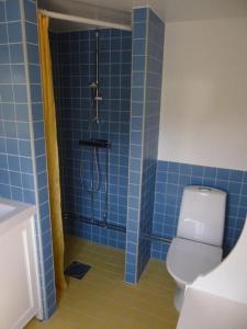baño de azulejos azules con ducha y aseo en Kleines Ferienhaus - Tiny house - auf Gotland 700 Meter zum Meer en Ljugarn