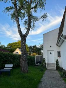 a tree in the grass next to a white building at Maja Appartement in Bad Schwartau