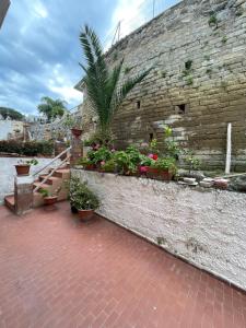 Imagen de la galería de Giglio, en Isquia