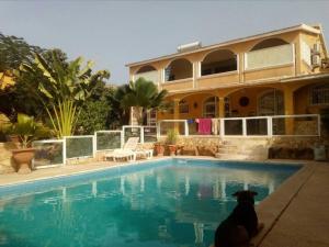 a dog sitting in front of a swimming pool at La Maison Jaune in Poponguine
