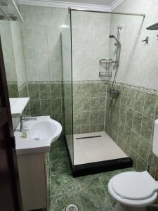 a bathroom with a shower and a sink and a toilet at Casa Minerva in Buşteni +51 photos