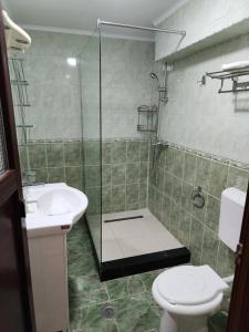 a bathroom with a shower and a toilet and a sink at Casa Minerva in Buşteni