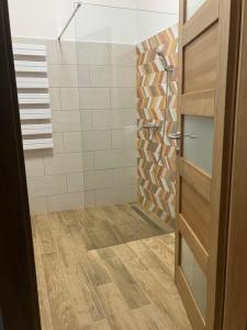 baño con ducha y puerta de cristal en Mohás Vendégház Kőszeg en Kőszeg