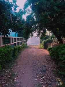a dirt road with trees on the side of it at New green hotel in Yelagiri