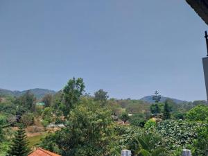 a view of a vineyard from a house at New green hotel in Yelagiri