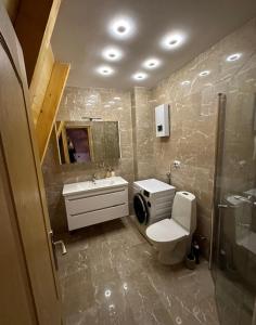 uma casa de banho com um WC, um lavatório e um chuveiro em Vikendica Peric Zelinje 