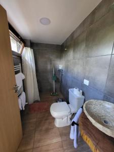 a bathroom with a toilet and a sink at Cabañas Duendes y Hadas in El Bolsón