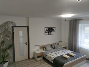 - une chambre avec un lit et une grande fenêtre dans l'établissement Kucko Vendeghaz Guesthouse, à Sárospatak