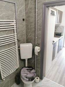 Un pequeño baño con inodoro y espejo. en Kucko Vendeghaz Guesthouse, en Sárospatak 43 fotos más