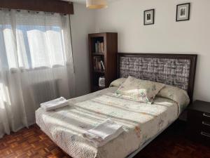 een slaapkamer met een bed en een boekenplank bij Fontevella in Porriño