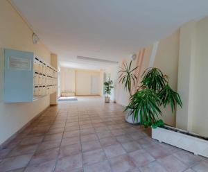 un pasillo vacío con plantas en un edificio en Grand studio à 150m de la plage et 200m du port !, en Saint-Cyprien