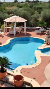 una gran piscina con sombrilla y un patio en 2 bedrooms apartement with shared pool enclosed garden and wifi at Crispiano, en Crispiano