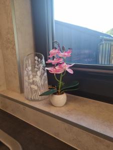 a vase and a plant sitting on a window sill at Okno na Raj Domki całoroczne in Kudowa-Zdrój