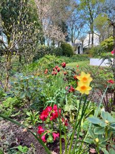 a garden with colorful flowers in a park at Covenanters Cottage , Balmaclellan in Castle Douglas +7 photos