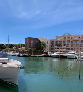a group of boats docked in a marina with a building at La Cigale Varoise - Hyères La Plage in Hyères