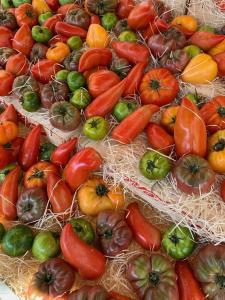 a display of tomatoes and other vegetables on hay at La Cigale Varoise - Hyères La Plage in Hyères