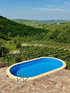 Villa Teresa - Villa & Piscina immersi nel vigneto! في Montecalvo Versiggia: مسبح ازرق مطل على مزارع العنب