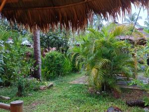 a garden with a palm tree and a straw umbrella at Bamboo homestay at samroiyot in Baanphakrimlay 