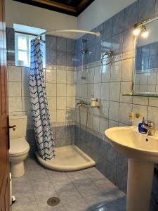 a bathroom with a shower and a toilet and a sink at Robin Hotel Apartments in Tsepelovo