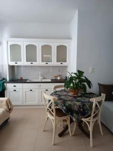 a kitchen with a table with a potted plant on it at Στούντιο στο κέντρο της Πρέβεζας in Preveza