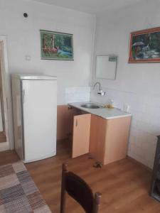 a kitchen with a sink and a refrigerator at HOLIDAY HOME - NEGREVO in Pehčevo
