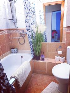 a bathroom with a tub and a toilet and a sink at EMVIKA apartament in Šiauliai