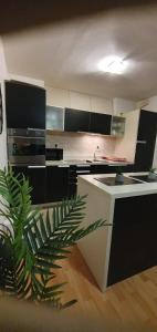 uma cozinha com armários a preto e branco e uma planta em Lorena app em Umag