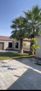 a house with two palm trees in the driveway at شاليه تريك in Buraydah