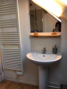 a bathroom with a sink and a mirror at Appartement coquet dans maison individuelle in Lisses