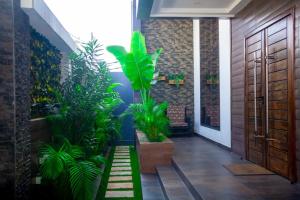 un pasillo con plantas y una puerta de madera en La pépite en Cotonú