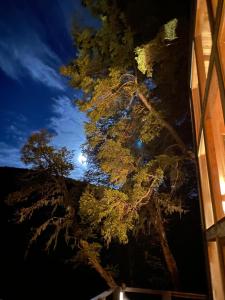 Fotografie z fotogalerie ubytování Lodge Rincon del Bosque, Malalcahuello v destinaci Malalcahuello