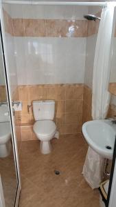 een badkamer met een toilet en een wastafel bij Strumyani tiny flat in Sandanski