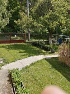 a yard with a fence and some grass and trees at Lesný domček in Hunisky