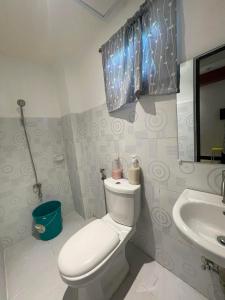 a bathroom with a toilet and a sink at Mayon Lodging House in Legazpi