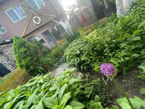 een tuin met bloemen en planten voor een gebouw bij Casa Yachi Vama Veche in Vama Veche