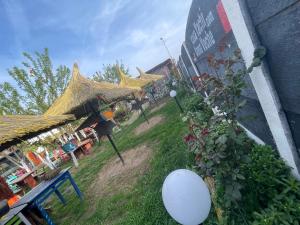 a group of buildings with gold roofs and plants at Casa Yachi Vama Veche in Vama Veche