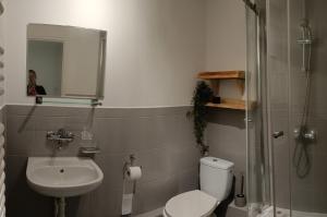a bathroom with a toilet and a sink and a shower at Smrek Sokolec Agroturystyka in Ludwikowice Kłodzkie