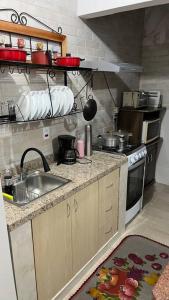 uma cozinha com um lavatório e um fogão em Espaço Zen em Cascavel